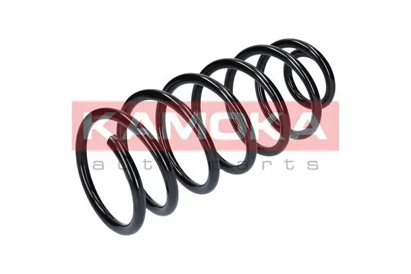 Suspension Spring (2110272)