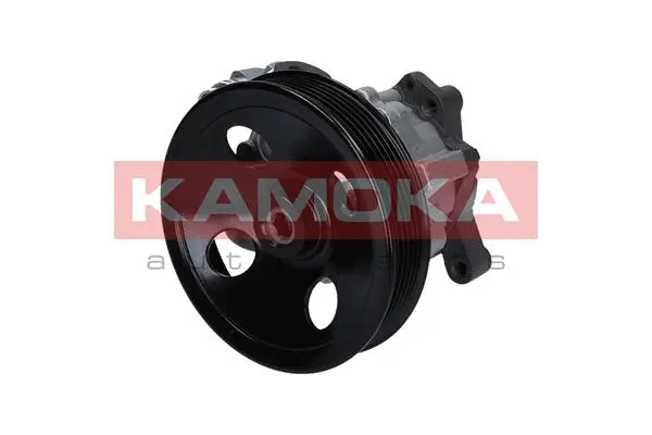 Hydraulic Pump, steering (PP131)