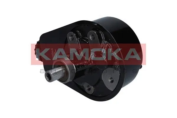 Hydraulic Pump, steering (PP175)