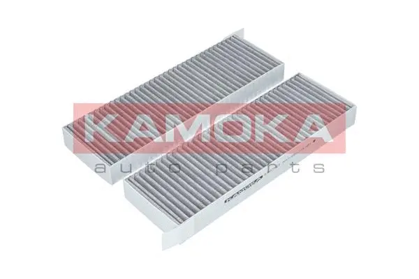 Filter, cabin air (F507501)