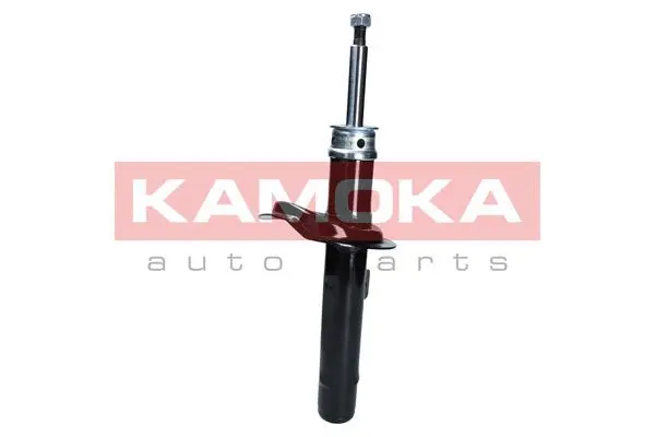 Shock Absorber (2001051)