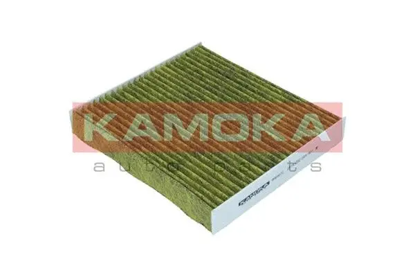 Filter, cabin air (6080072)