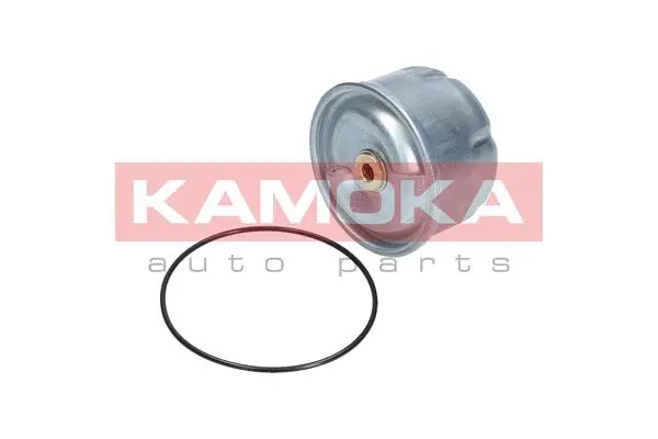 Oil Filter (F115001)
