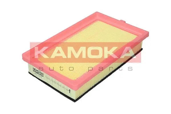 Air Filter (F243101)