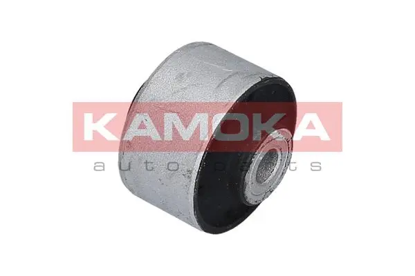 Mounting, control/trailing arm (8800254)