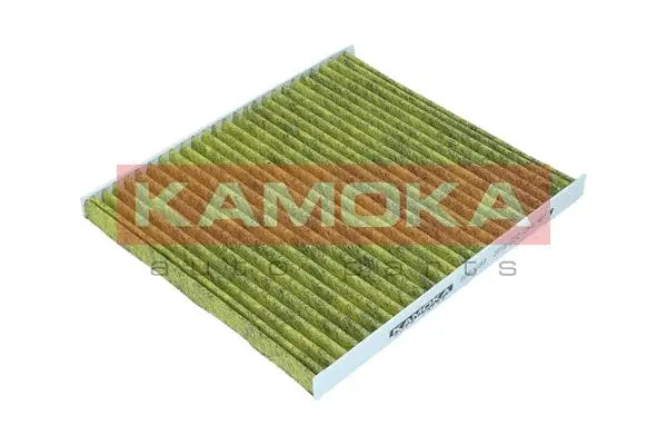 Filter, cabin air (6080098)