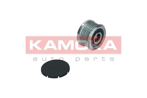 Alternator Freewheel Clutch