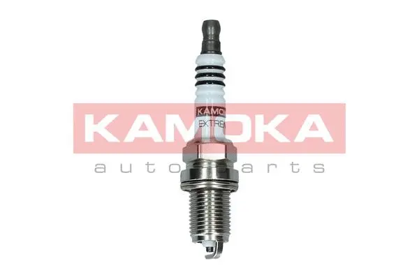 Spark Plug (7090504)