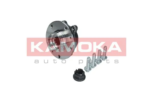 Wheel Bearing Kit (5500324)