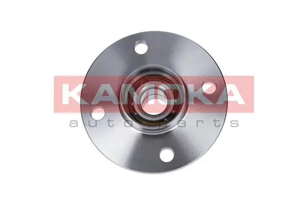 Wheel Bearing Kit (5500010)