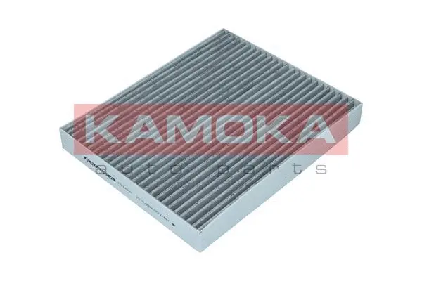 Filter, cabin air (F514001)