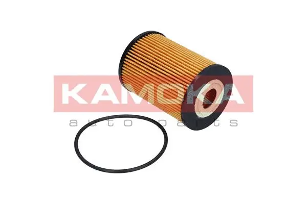 Oil Filter (F110301)