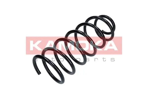 Suspension Spring (2110267)