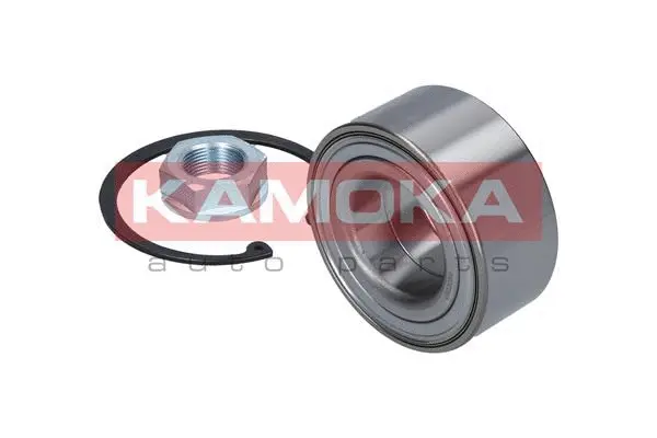 Wheel Bearing Kit (5600087)