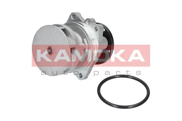 Water Pump, engine cooling (T0059)