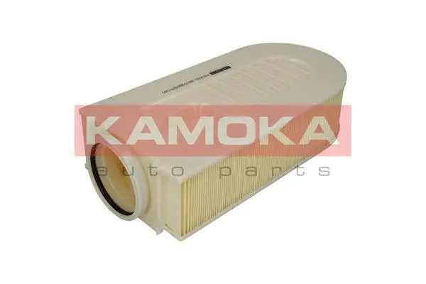Air Filter (F214701)