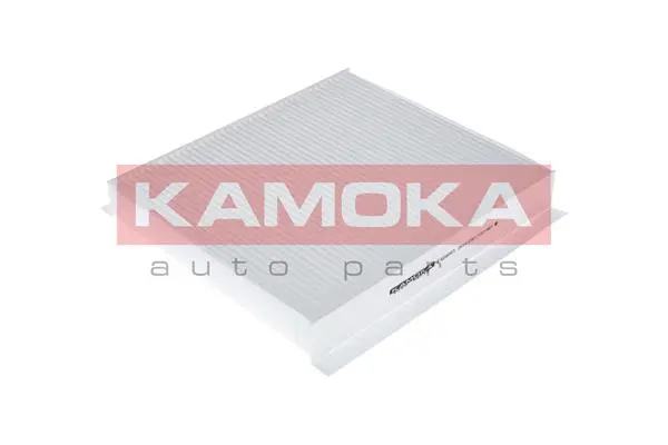 Filter, cabin air (F404001)