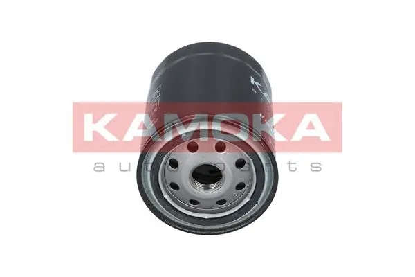 Oil Filter (F104601)