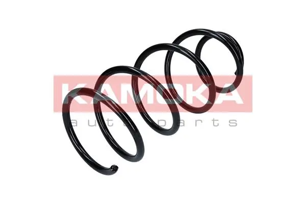 Suspension Spring (2110113)