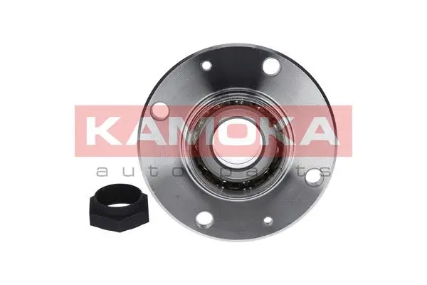 Wheel Bearing Kit (5500043)