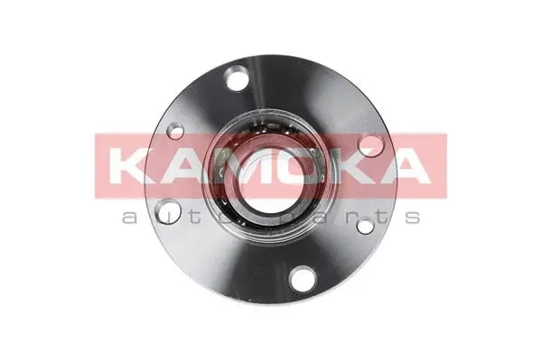 Wheel Bearing Kit (5500029)