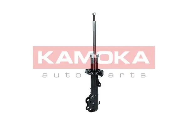 Shock Absorber (2000118)
