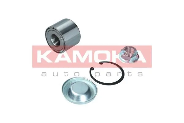 Wheel Bearing Kit (5600117)