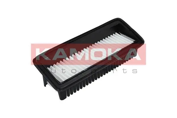 Air Filter (F227801)