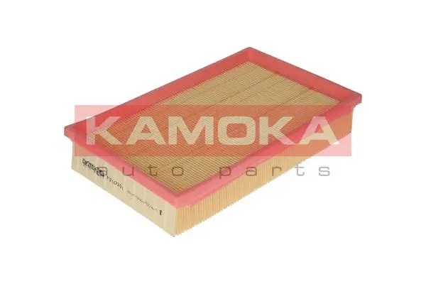 Air Filter (F210301)