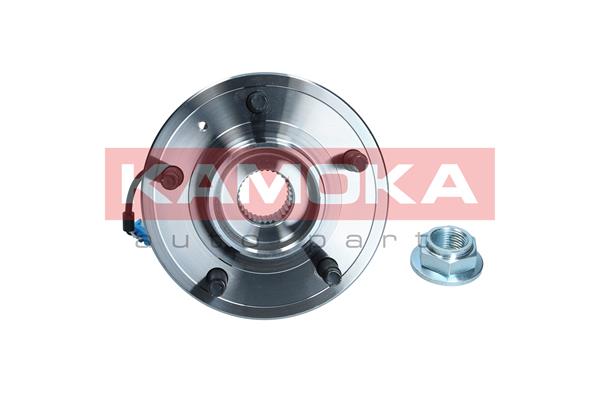 Wheel Bearing Kit