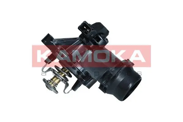 Thermostat, coolant