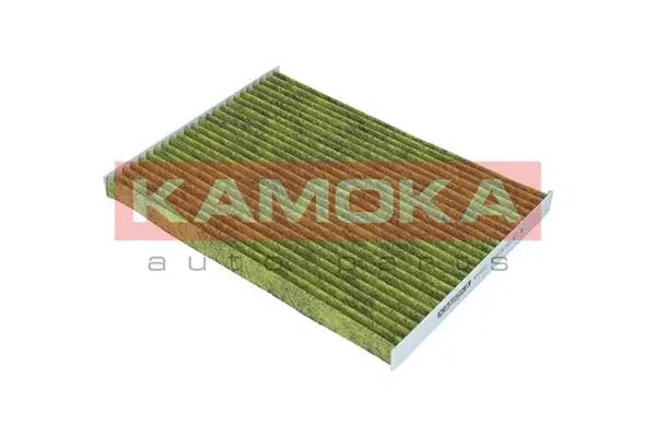 Filter, cabin air (6080093)