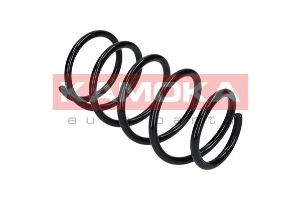 Suspension Spring (2120134)