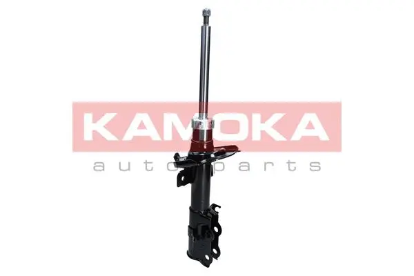 Shock Absorber (2000270)
