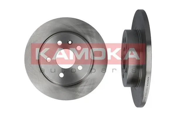 Brake Disc (1031062)