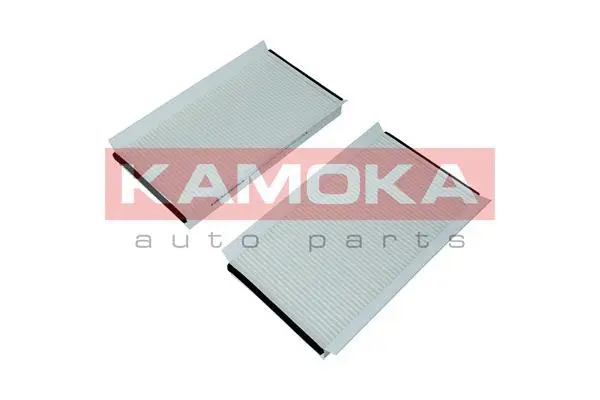 Filter, cabin air (F420901)