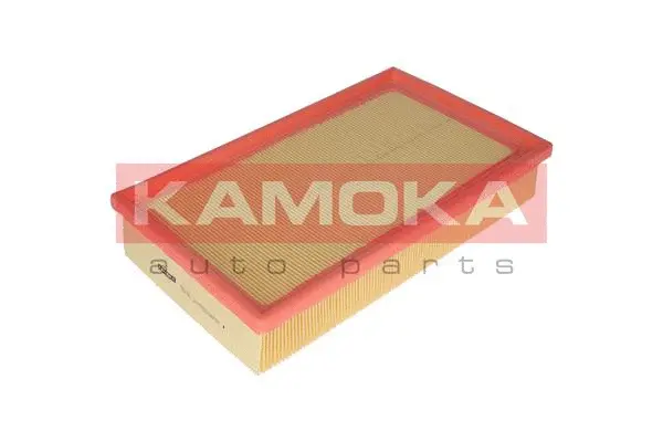 Air Filter (F227301)
