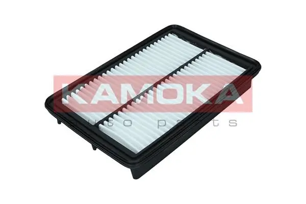 Air Filter (F246301)