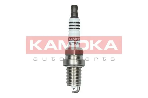 Spark Plug (7090010)