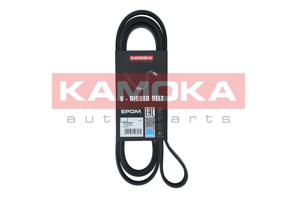 V-Ribbed Belt (7016224)