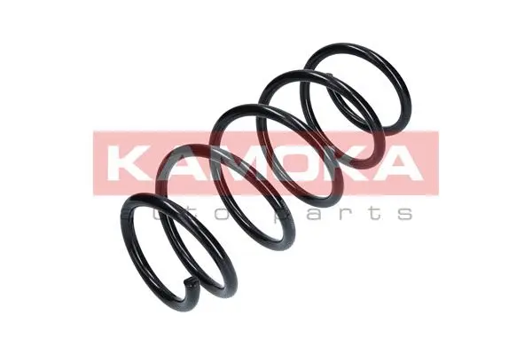 Suspension Spring (2110054)