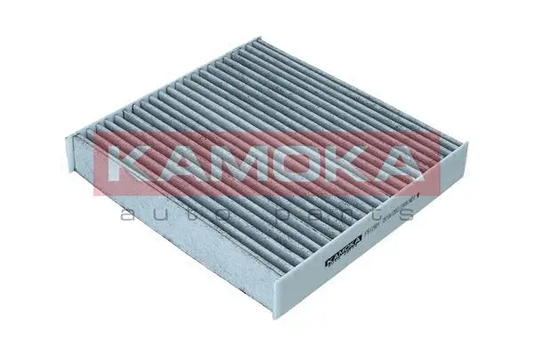 Filter, cabin air (F512501)