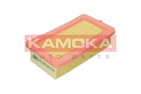 Air Filter (F249201)