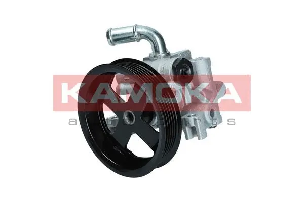 Hydraulic Pump, steering (PP113)