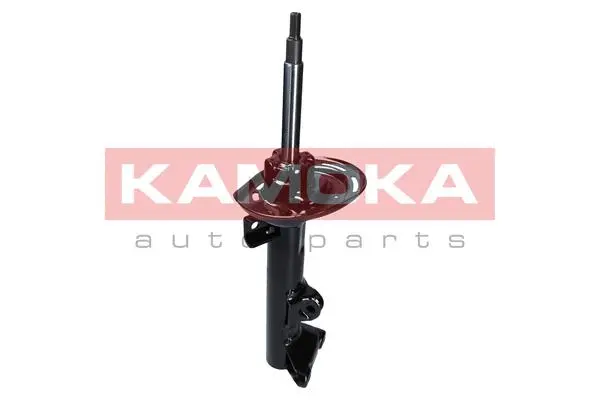 Shock Absorber (2000071)