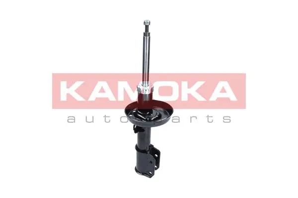 Shock Absorber (2000418)