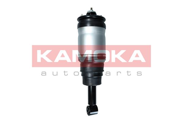 Air Suspension Strut