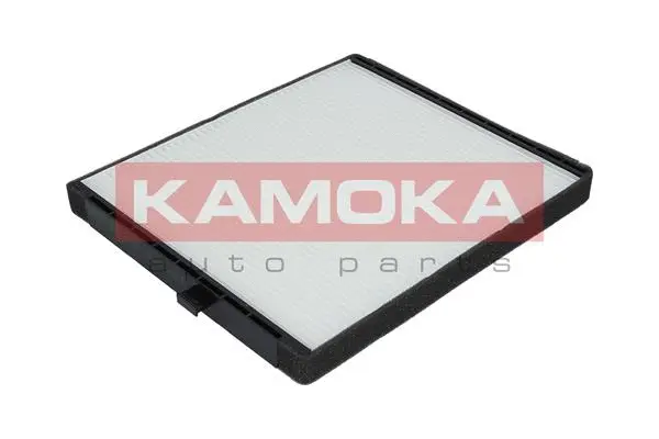 Filter, cabin air (F411001)