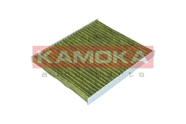 Filter, cabin air (6080074)