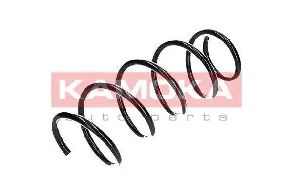 Suspension Spring (2110284)